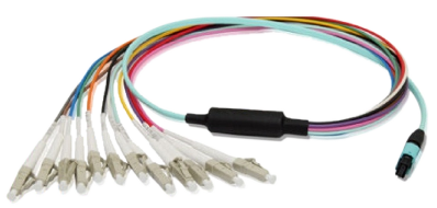 MTP  Fan-out Hydra Cable